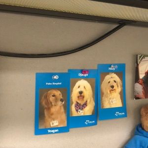 Meet your Posher, Kelli